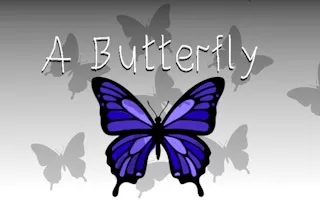 A Butterfly
