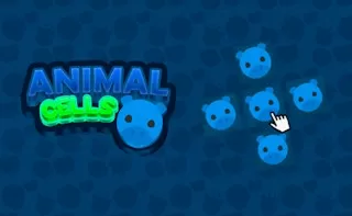 Animal Cells