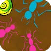 Ant Maze
