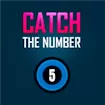 Catch The Number