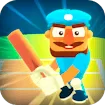 Cricket Hero