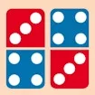 Domino Master Pro