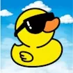Duck Escape