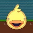DuckWAK