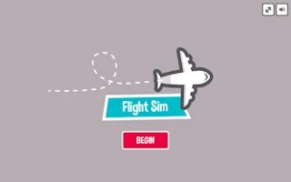 Flight Sim Pro