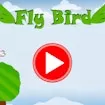 Fly Bird