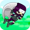 Flying Ninja
