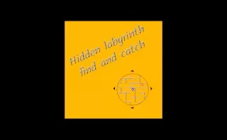 Hidden labyrinth - find and catch