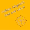 Hidden labyrinth - find and catch