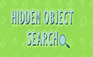 Hidden Object Search