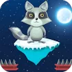 Jumping Raccoon