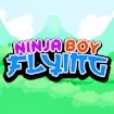 Ninja Boy Flying