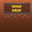 Ninja Drop