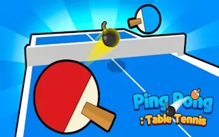 Ping Pong Table Tennis