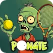 Pongie