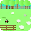 Save the Sheep