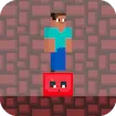 Steve Red Dark