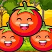 Tomato Ketchup