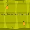 watch out for the roof